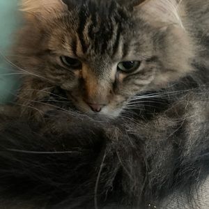 Meet your Posher, Kt